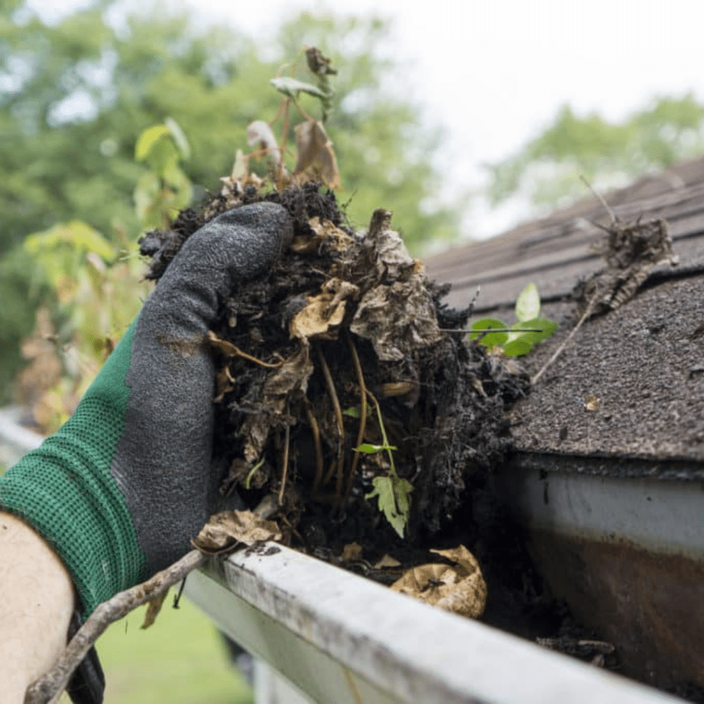 Gutter Cleanout