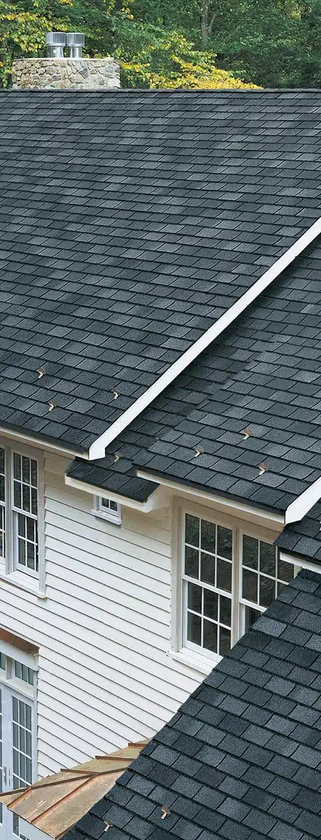 hammerhead exterior home cleaning for roof cleaning