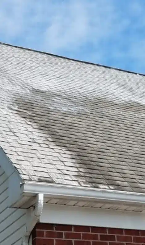 professional roof cleaning works