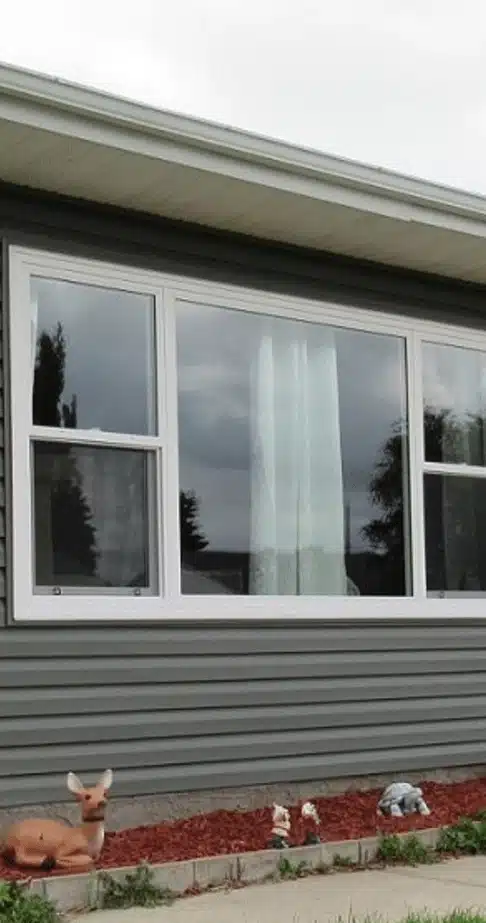 residential and commercial window washing in vernon